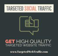 Targeted Website Traffic image 9
